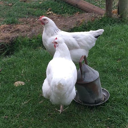 Вилла Brookover Farm Фроум Экстерьер фото