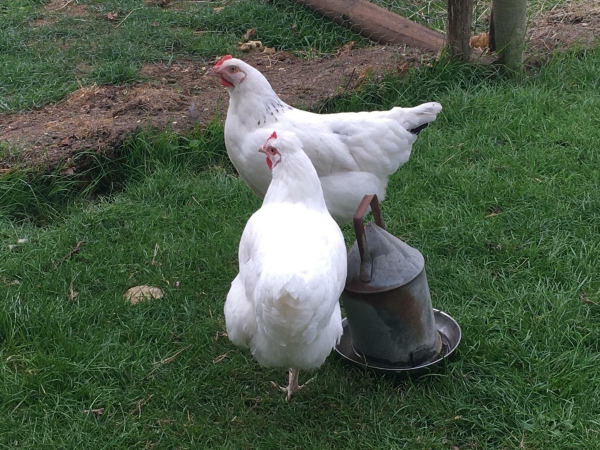 Вилла Brookover Farm Фроум Экстерьер фото
